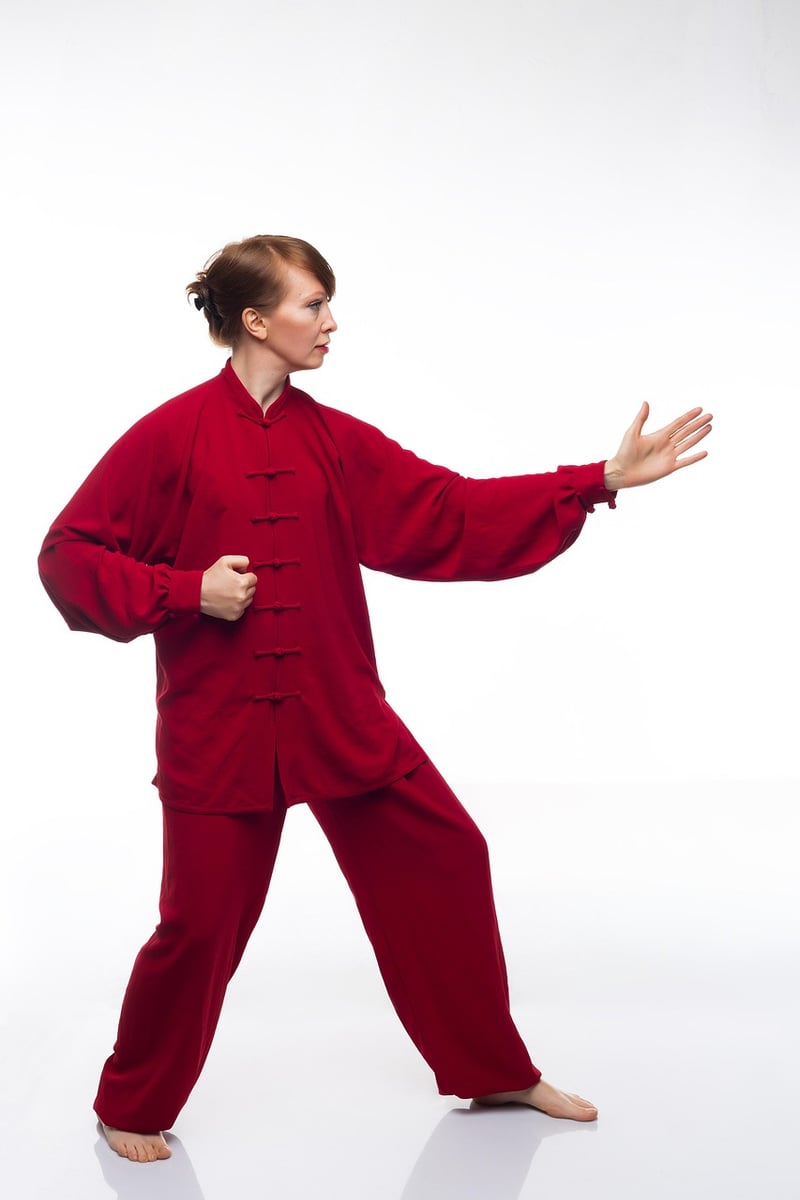 Wu Style Tai Chi Image 2